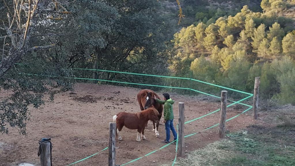 Masia Casajoana Rural Rellinars Luaran gambar