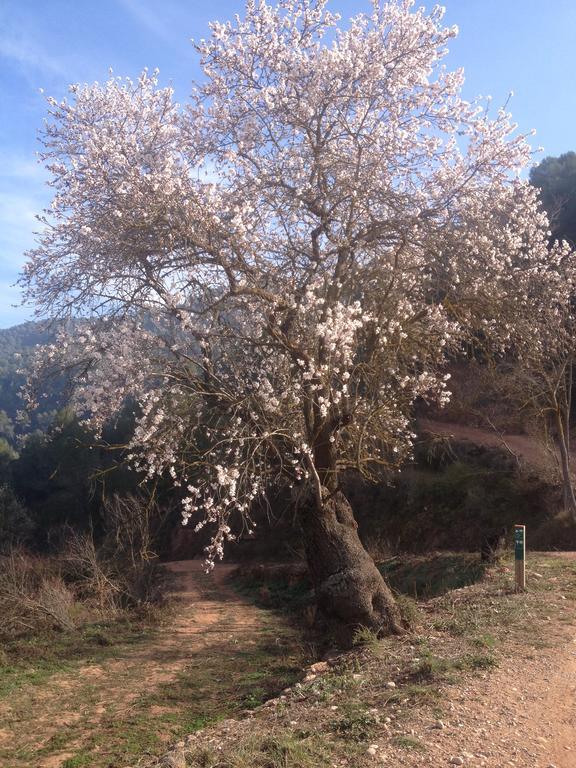 Masia Casajoana Rural Rellinars Luaran gambar